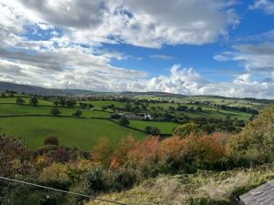 Photo 11- click for photo gallery